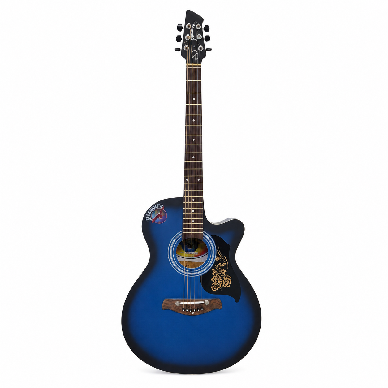 Pleasure Acoustic Guitar